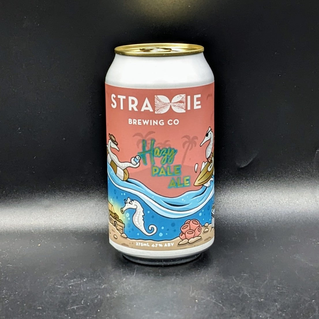 Straddie Hazy Pale Ale Can Sgl